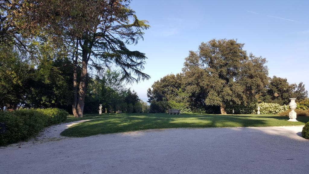 Villa Lattanzi Marina Palmense Exteriér fotografie